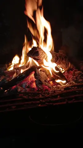 #نار #شتاء_البرد_اجواء_شتويه #شتاء #البداري_محافظه_أسيوط #اسيوط_سوهاج_قنا_الاقصر_اسوان_المنيا 