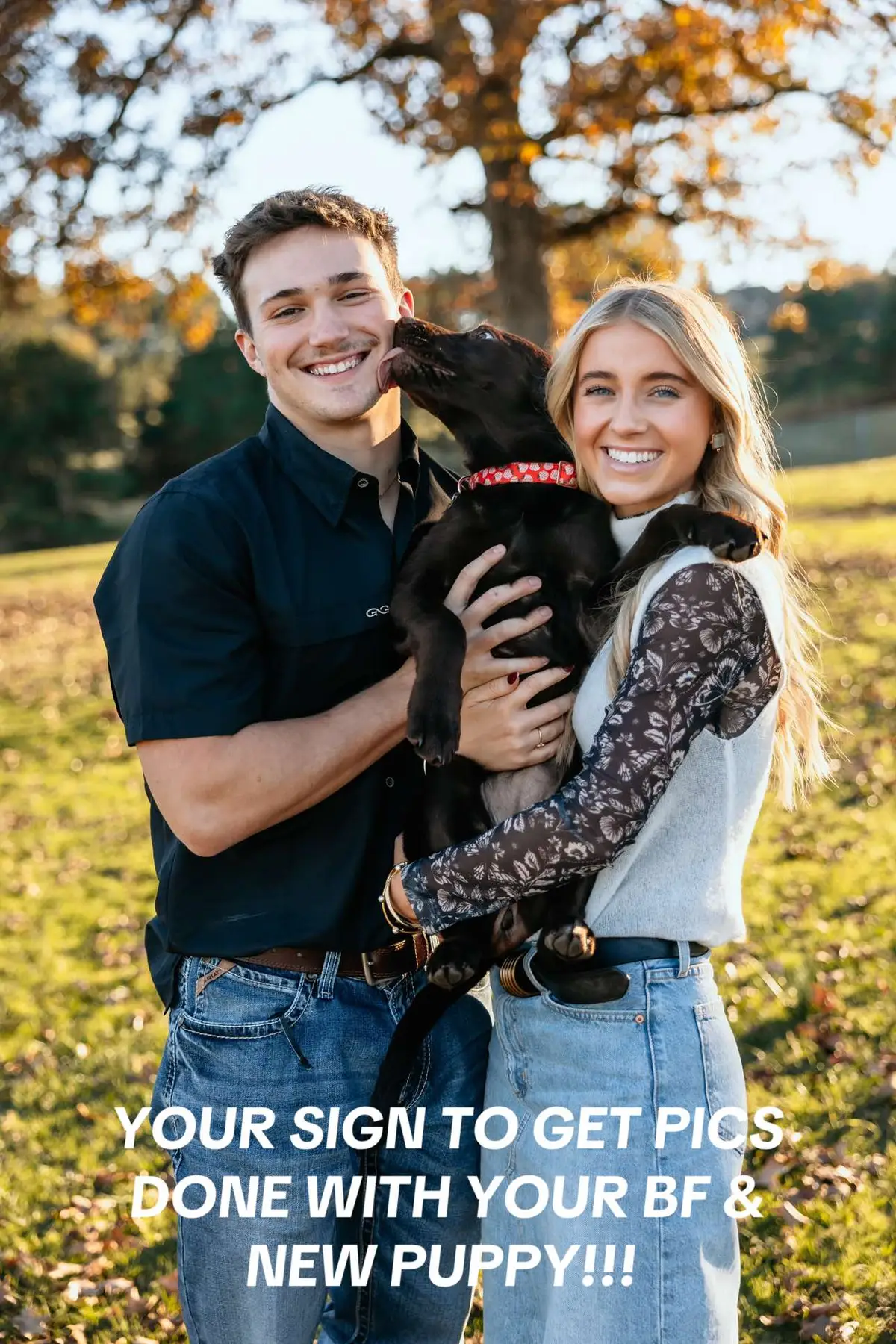 Im obsessed with these 2!!!  #fyp #newpuppy #lab #chocolatelab #pictures #couple #pictureslideshow #puppytiktok 