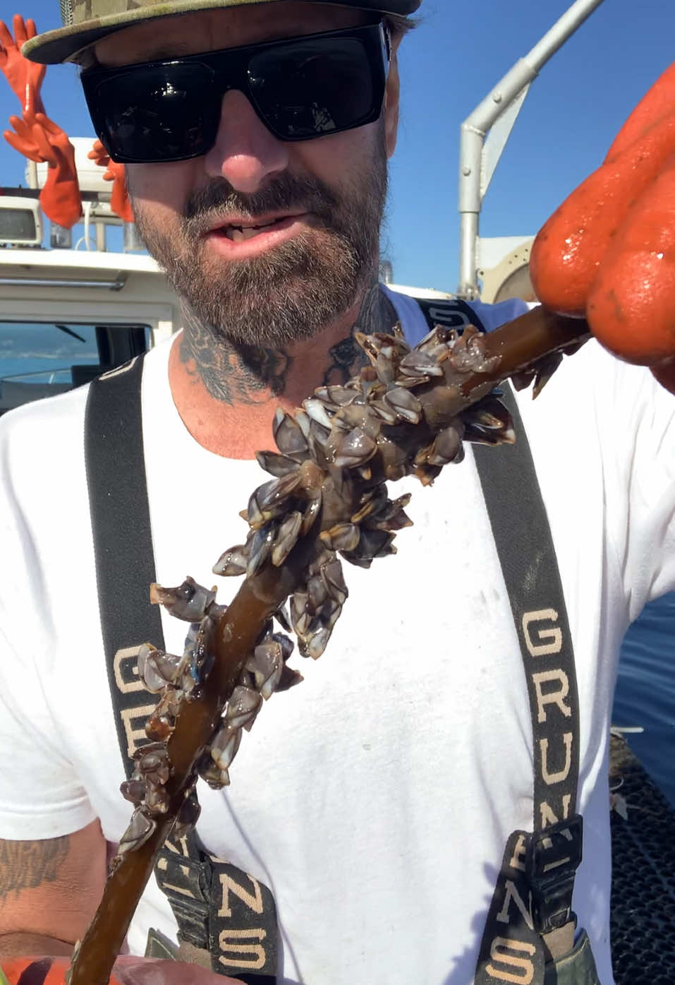 Tsunami warning in California Part 1 Gooseneck Barnacles #tsunami #california #asmr #friendliestcatch #rockhold #seafood #natgeo #crab 