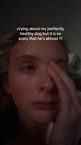 dogs deserve so much more life 