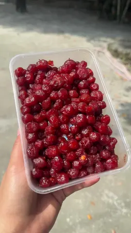 Chùm ruột rim đường hủ 500gr #thanhtrucfood #chumruot #tiktokxuhuong #tiktokthinhhanh #tiepthilienket 