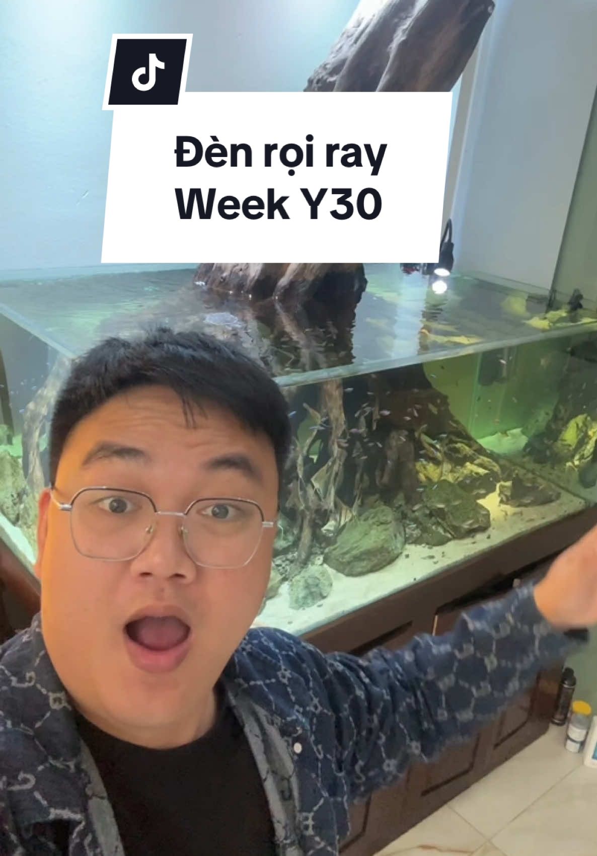 Review chiếc đèn rọi ray siêu ngon cho bể Biotope - Week Y30 #thuysinh #cacanh #biotope #denroihoca 