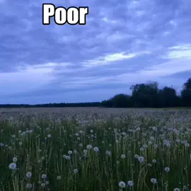 MSI - lights out #viral_video #lycris #musica #fyp #foryoupagee #foruyou #msi #lightsout #mindlessselfindulgence #song 