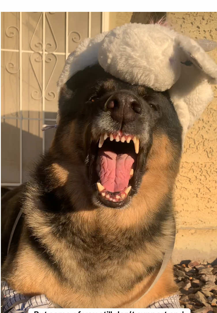 Just venting tonight. Do you also have this problem? #creatorsearchinsights  