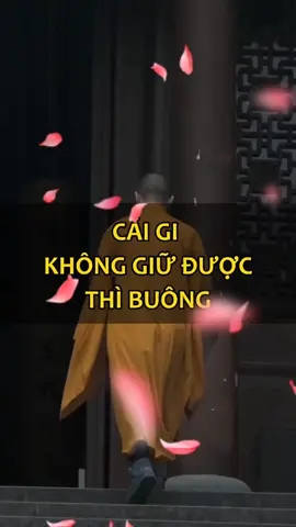 nghe mới hiểu được #adidaphat #phatphap #tutam #phậttạitâm #phatphapnhiemmau #doisong #nammobonsuthichcamauniphat #tịnhtâmđểđượcnhẹnhàng🍀🍀 