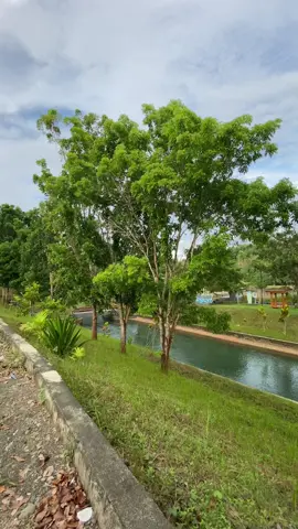 Ambil aja buat prank 😅 📸 BENDUNGAN SINGKOYO 🍃    Tempat nyore anak2 toili 😅😁 #toililuwukbanggai_sulteng #luwukbanggaisulteng #xybca #fyp #fyppppppppppppppppppppppp #xyzbcafypシ #toilipride🌴🔥 