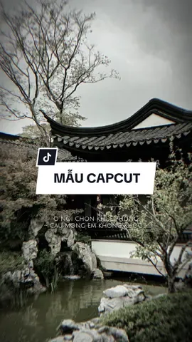 #CapCut Mong người thương của  em yêu thật lòng #capcutmaster #nhacchaymoingay #xuhuong 