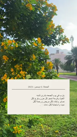 #يوم_الجمعه 