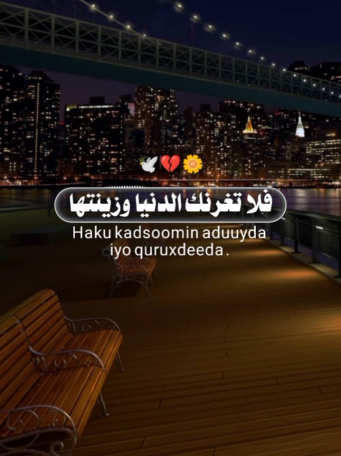 part || 21 فلا تغرنك الدنيا وزينتها #islamic_video #ghazwanlyrics #اناشيد_اسلاميه #حالات_واتس #ghazwanlyrics #somalitiktok #vewsproblem🥺 #vews 