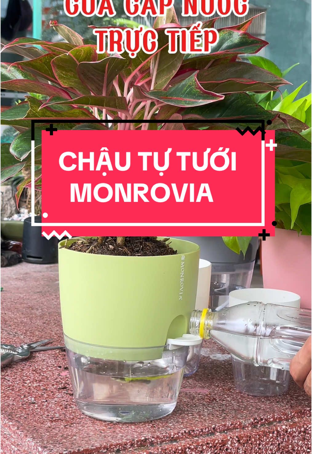 Trả lời @NTN Chậu Tự Tưới Monrovia #chaututuoi #chaucaytutuoi #chaunhuatutuoi #chaunhuamonrovia #monrovia #chậu_tự_tưới #chautuduongthongminh #cayxanhphonghong 