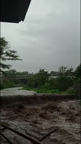 banjerrr#sungaibanjir#banjirbesar#banjirbandangtaktataki 