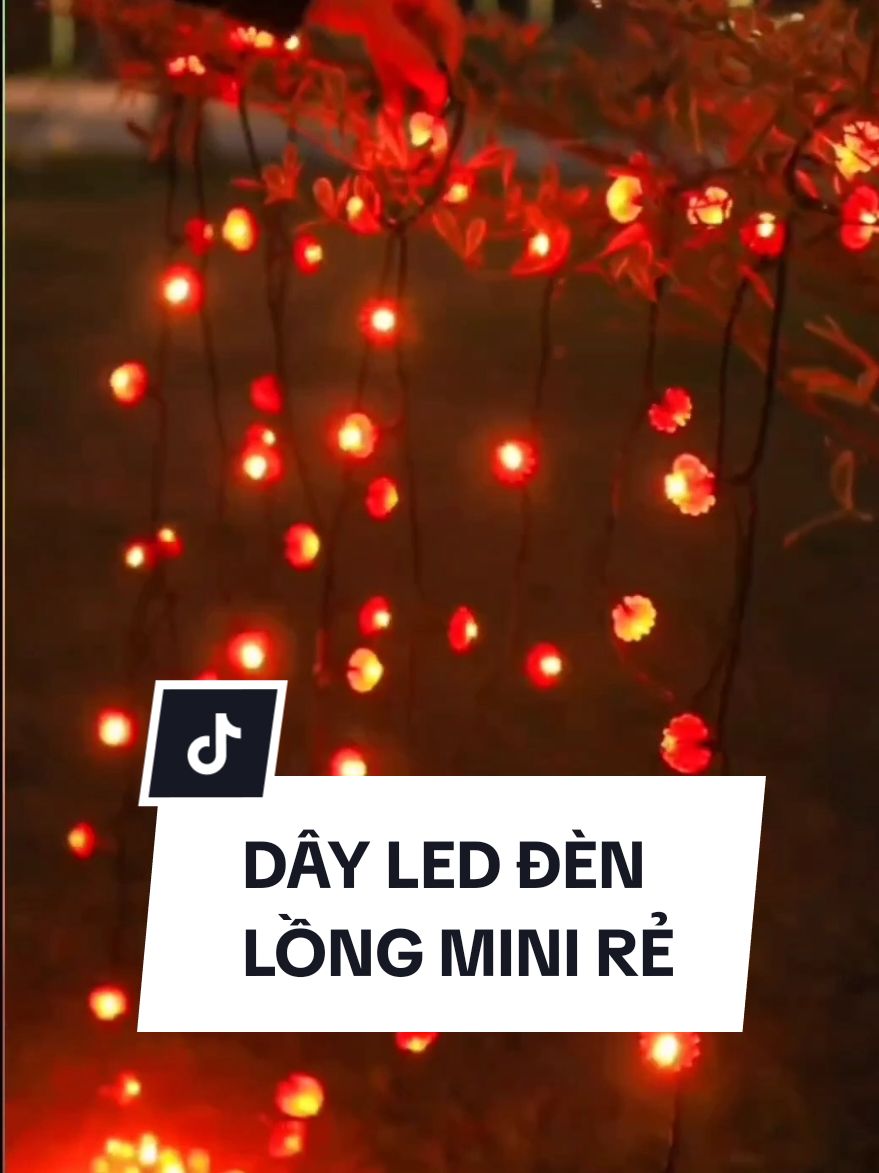 Led đèn lồng mini 8 chế độ ( cuộn 5M 10M) Trang trí tết,quấn cây mai,đào,quất,... #denled #dentrangtritet #xuhuong2025 #denledtrangtri 