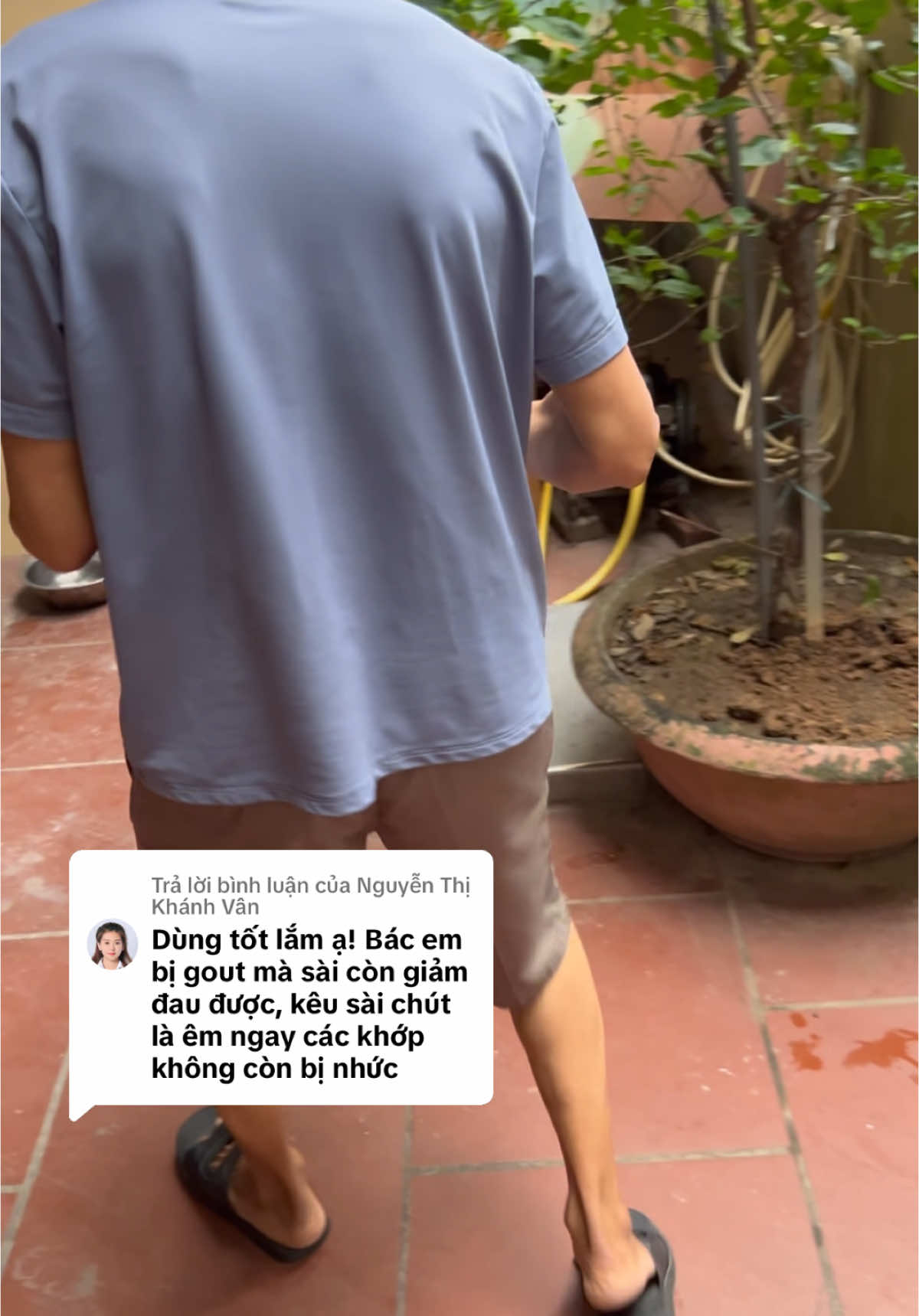 Trả lời @Nguyễn Thị Khánh Vân  dạ cảm ơn ạ #bachlongcot #daunhucxuongkhop #thoatvidiadem #thoaihoacotsong #daulung #covaigay