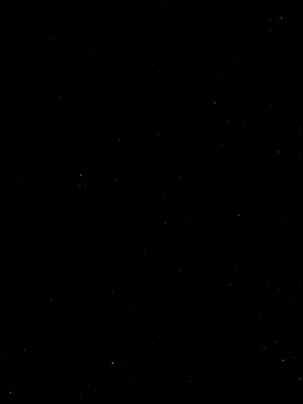 اسف مش شايف تفاصيلك🌌✨|معن رباع#🖤 #معن_رباع #اسف_مش_شايف_تفاصيلك 