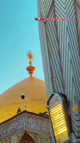 عدلين ميتين يمك ياعلي #ياعلي_مولا_عَلَيہِ_السّلام #ياعلي_مدد #علي_بن_ابي_طالب ع