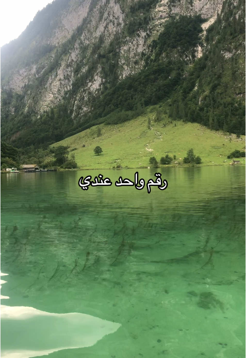 #تربية_الابناء #تربية_إيجابية #ضمير 