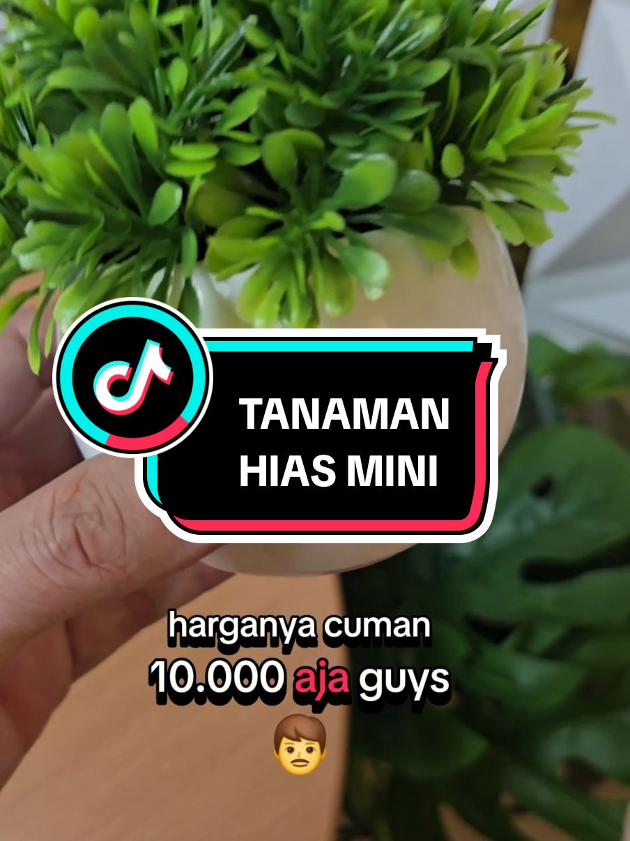 bunga mini pemanis meja guys #tanamanhias #tanaman #tanamanartificial #tanamanhiasmurah #tanamanmurah 