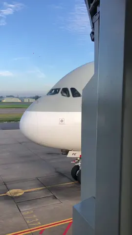 A 380 Back to Sri lanka. Doh to syd emergency landing. Qr 908. Big boss back 😇 #bia #colombo #srilanka #aviationlovers #airbus #onemillionaudition #goodvibes 