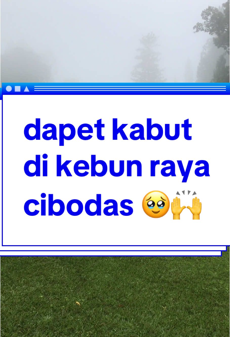 @Ojek Trip Bogor seru banget dapet kabut di kebun raya cibodas 🙌 #kebunrayacibodas#ojektripbogor 