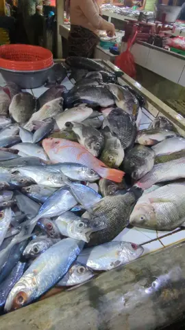 belanja ikan basah di pasar #fresh #masak #pasarbarubekasi #ikanlaut 
