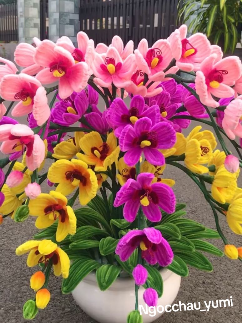 Trả đơn chậu hoa Lan hồ điệp cho khách Lâm Đồng Nhận làm hoa kẽm nhung theo yêu cầu  #hoakemnhung #ngocchau_yumi