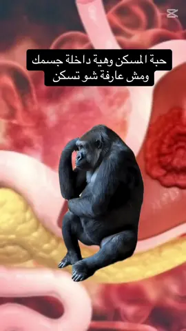 #حبة_مسكن #ادوية💊 #صيدلية #صيدلي #ترندات_تيك_توك #ترند #اكسبلور 