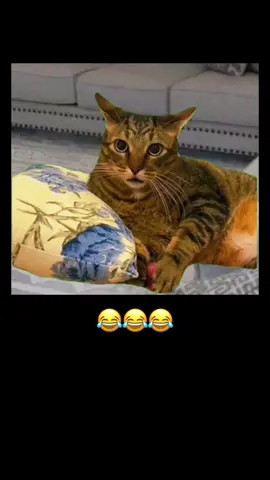 #فديوهات #مضحكه 