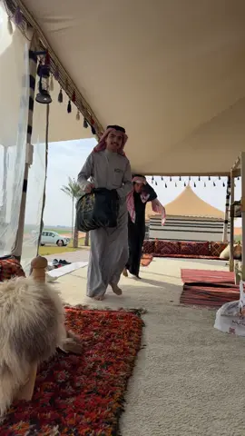 #اكسبلور #حايل #حايلندا #المطبّح 