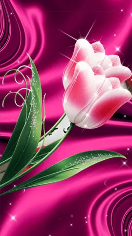 #يارب_دعوتك_فأستجب_لي_ولادي هم كل حياتي#احفظهم_يارب_من_كل_شر 