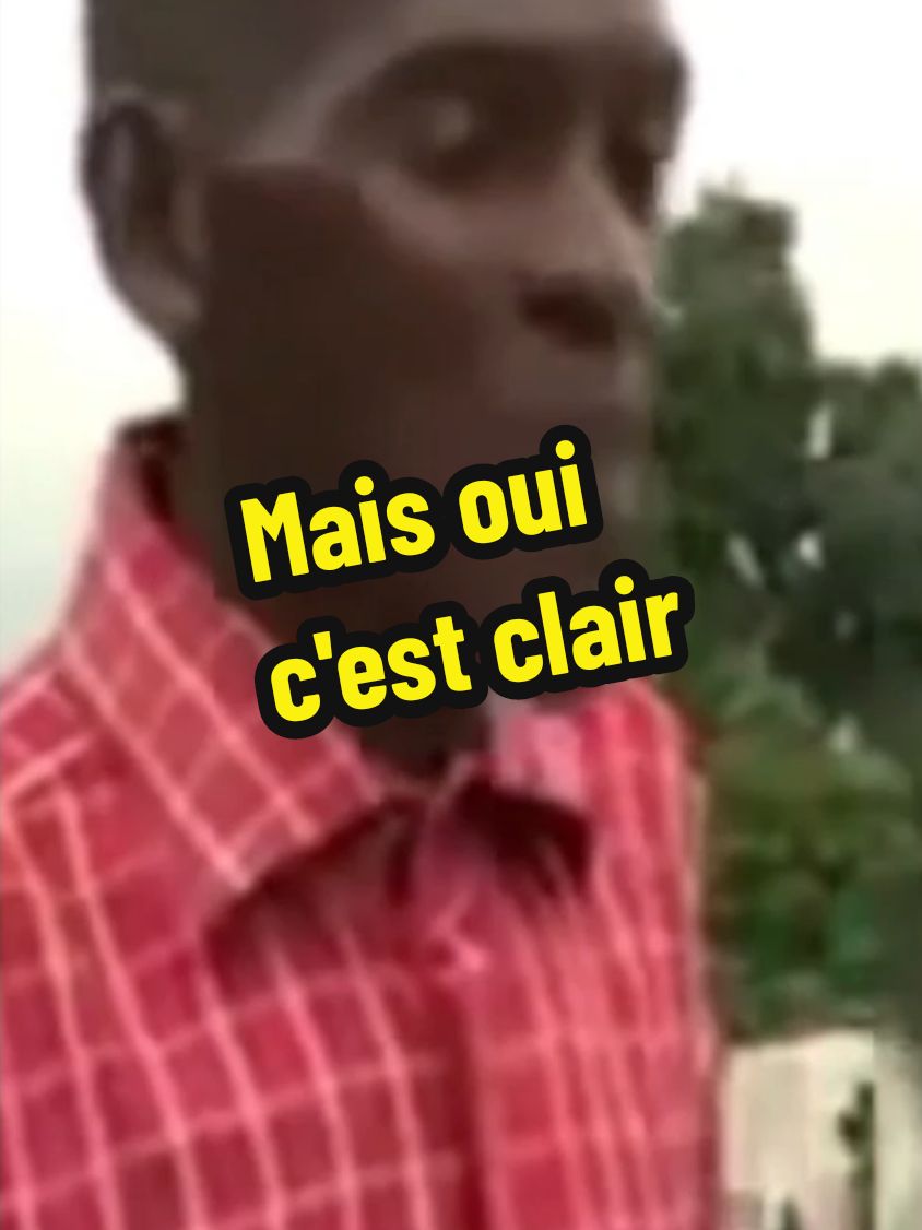 Mais oui c'est clair ! Abonne toi pour ne rien manquer  #reggae #maisouicestclair #congolexicomatisation 