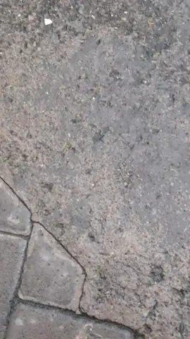 🤲✨️#fyp #xybca #jmgroup #soundsystem #madiun24jam 