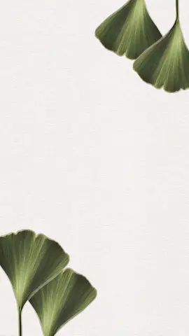 #explore #عبدالله#بشارة مولود #explore #ترحيب #فرحة #ملكة #دعوة #ابني_حبيبي🤍 