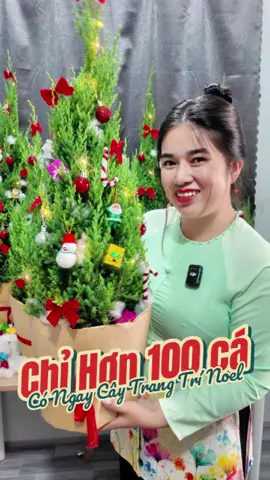 Sơn Tùng đang có ưu đãi hời cho cả nhà mình. Nhanh tay đón em nó về trang trí Noel cả nhà ơi. #huyenlinhgarden #vuacaygionghuyenlinh #xmas #christmas #tuhaohangviet #buylocal #noel