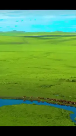 #sheki #Afif #islamic_video #🕋🕌regay_islam🌼🦋 #muslimtiktok #islamic_video #🕋🕌regay_islam🌼🦋 #muslimtiktok #muslimtiktok🤲🤲🕋🕋🕌🕌 #oromotiktok❤️💚❤️ethiopiantiktok #oromotiktok❤️💚❤️ethiopiantiktok #oromotiktok❤️💚❤️ethiopiantiktok #oromotiktok❤️💚❤️ethiopiantiktok #oromotiktok❤️💚❤️ethiopiantiktok 