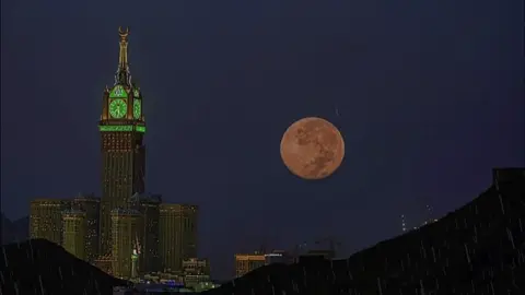 #CapCut #محمد_اللحيدان #تلاوة_خاشعة #قران #quran #