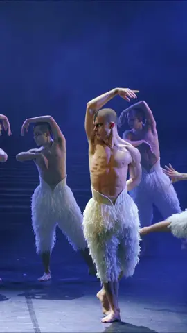The look that changes everything 🦢🤍 Experience the intensity of the lake @sadlers_wells until 26 January 2025, best availability from 26 Dec (be sure to check for returns!) 🎟️ UK and Ireland tour to follow. 🪽In this clip: Harrison Dowzell, James Lovell #MatthewBourne #MatthewBournesSwanLake #DanceTheatre #DanceNearMe #TheatreNearMe #WhatsOnDance #WhatsOnTheatre #LondonTheatre #LondonCulture #LondonEvents #LondonDance