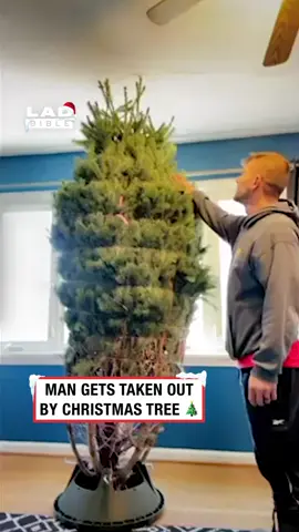 He'll be buying a fake one next year 🤣 (🎥: @contentbible) #ladbible #funnyvideos😂 #christmas #failsoftiktok