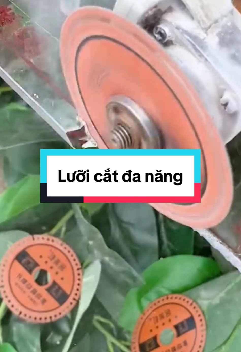Lưỡi cắt đa năng 