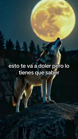 #reflexion #motivacion #reflexiones #motivacional #frasesmotivadoras #amor #frasesinspiradoras 