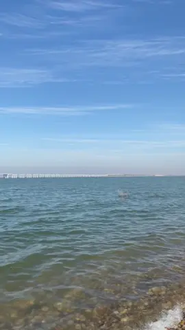 حمرين ✨🤍#بحيره_حمرين_ديالى_السعديه_قضاء_خانقين #ترند #بعقوبه #pov #شعب_الصيني_ماله_حل😂😂 