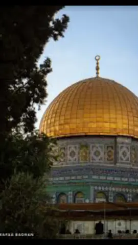 #CapCut #قران_كريم 