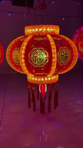 Cận cảnh cho cả nhà xem ạ #longdendien #longden #trangtritet #sale #xuhuongtiktok #trend #trendingvideo 