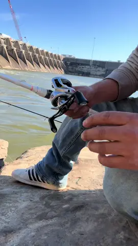 #creatorsearchinsights Seasir Fishing Reel 51BB 72