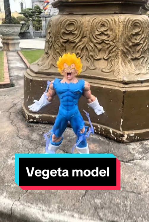 Vegeta model #vegeta #dragonball #animetiktok #trendingvideo2024 #goku 
