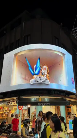 Have you been to night markets in Taiwan? 📍Taipei, Taiwan - Send this to someone who you want to go to night markets with🫶 - #discovertaiwan #taiwannightmarket #exploretaiwan #visittaiwan #taiwannightmarkets #fyp 