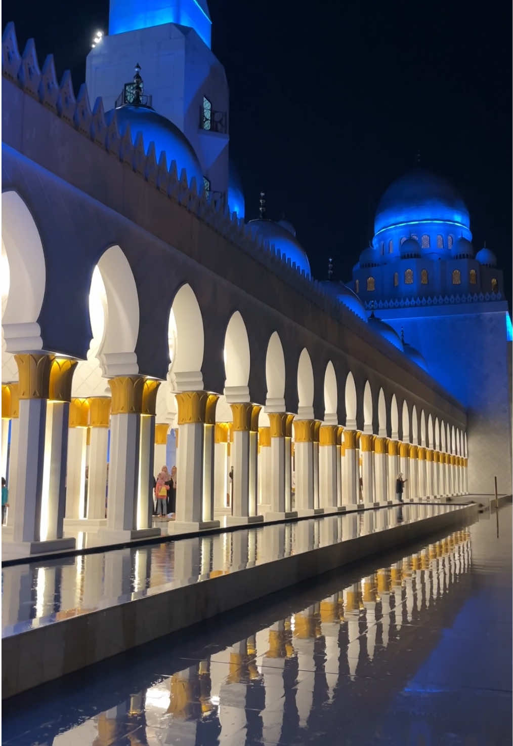 Keindahan Masjid Raya Sheikh Zayed di Malam hari 😍🕌✨ 