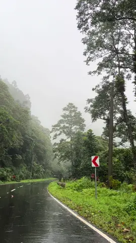 Yung ganitong roadtrip 💕Sobrang nakakagaan ng pakiramdam, napakayapang tanawin habang umuulan ❤️ #mountainview #rain #nature #travel #roadtrip #peaceful #calmness #fyppppppppppppppppppppppp #asmrsound #asmrtiktoks 