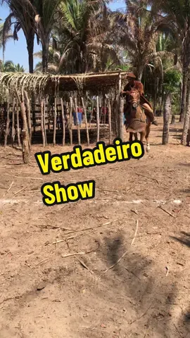 #vaqueramapi #vaqueiros #vaqueiro #vaqueiropostou #vaqueiroapaixonado #vaqueirotiktok #vaqueirostatus #vaqueiroatualizado #vaqueirama #criadordeconteudo 