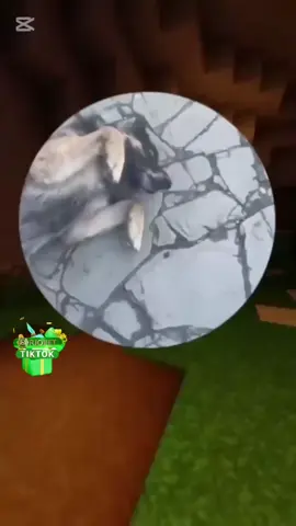 валына🤣🤣🤣🤣#рек #рекомендации 