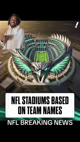 #nfl #stadium #nflstadiums #concept #fyp #football 